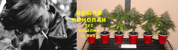 стафф Елабуга